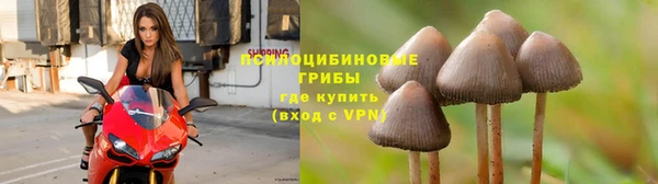 mdpv Кодинск
