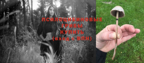 кокаин премиум Козловка